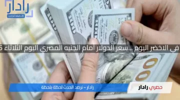 استقرارا جديد في الاخضر اليوم …سعر الدولار أمام الجنيه المصري اليوم الثلاثاء 15 أبريل 2025