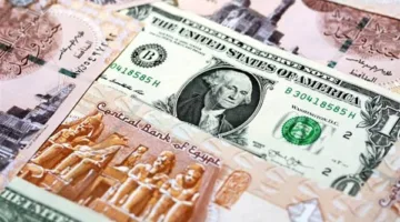 سعر الدولار اليوم يتباين في البنوك المصرية منتصف تعاملات الثلاثاء