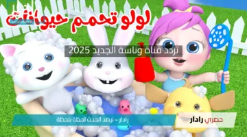 تردد قناة وناسة الجديد 2025 .. نزل الترددات الجديده على نايل سات وعرب سات
