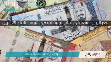 «استقرار الريال السعودي أمام الجنيه المصري اليوم 29 أبريل 2025».. فرصة ذهبية للمسافرين إلى الأراضي المقدسة!!