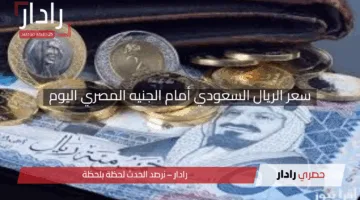 “تحديثات جديدة”.. سعر الريال السعودي أمام الجنيه المصري اليوم السبت 26 إبريل 2025