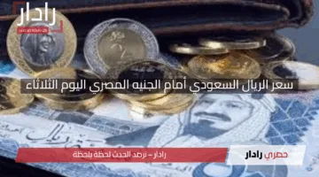 “استقرار ملحوظ”.. سعر الريال السعودي أمام الجنيه المصري اليوم الثلاثاء 29 أبريل 2025 بأحدث الأرقام