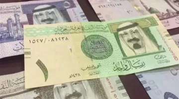 سعر الريال السعودي اليوم في البنك المركزي المصري الثلاثاء 8 أبريل 2025