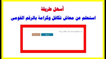 اعرف اسمك الآن.. خطوات بسيطة للاستعلام عن مستفيدي تكافل وكرامة 2025