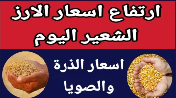 شُعبة الأرز تُعلن سعر طن الأرز الشعير اليوم الاثنين 12 مايو 2025 للتجار في مصر (الرفيع والعريض)