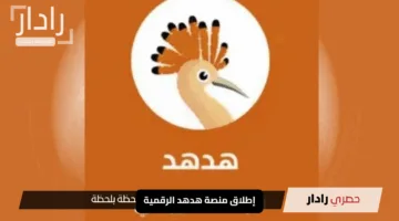 إطلاق منصة هدهد الرقمية: خطوة جديدة لتوسيع صادرات المنتجات السورية عبر الإنترنت