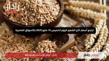 “مفاجأة مدوية”.. تراجع أسعار الأرز الشعير اليوم الخميس 15 مايو 2025 بالأسواق المصرية