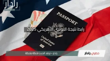 من هنا.. التقديم في اللوتري الأمريكي 2025 يبدأ رسميًا عبر هذا الرابط