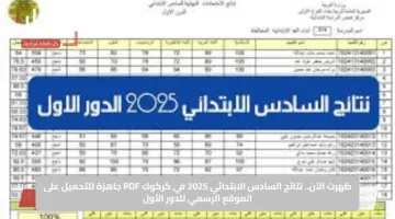ترقب الطلاب.. نتائج السادس الابتدائي الدور الاول محافظة كركوك خطوات سهلة لاستخراجها