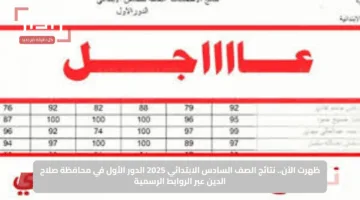 “اسماء الناجحين PDF”.. رابط نتائج الصف السادس الابتدائي 2025 الدور الأول عبر موقع وزارة التربية العراقية ونتائجنا