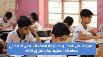 إعلان رسمي.. نتائج السادس الابتدائي الدور الأول محافظة السليمانية تعرف على خطوات الاستعلام الآن