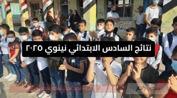 نتائج السادس الابتدائي 2025 نينوى.. الرابط الأسرع والأسهل عبر موقع نتائجنا “فور الإعلان عنها “