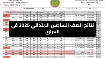 نتائج السادس الابتدائي 2025 الدور الأول في العراق.. الرابط الرسمي للاستعلام