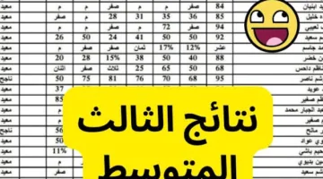 pDF الان نتائج الثالث المتوسط 2025 الدور الاول عبر موقع نتائجنا