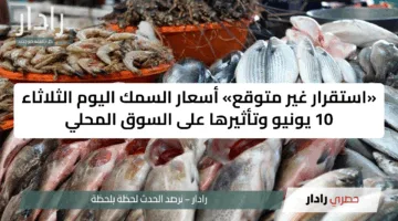 «استقرار غير متوقع» أسعار السمك اليوم الثلاثاء 10 يونيو وتأثيرها على السوق المحلي