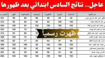 إعلان نتائج السادس الابتدائي 2025 في العراق.. رابط مباشر وخطوات الاستعلام