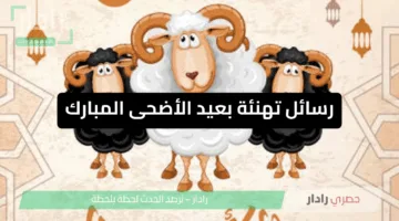 أروع رسائل تهنئة عيد الاضحي إسلامية 2025 للارسالها لجميع الاحباب والاصدقاء بمناسبة العيد