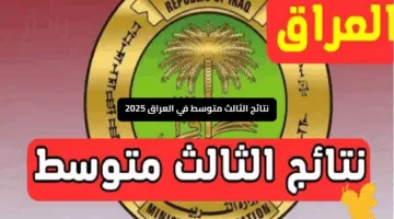 «تترقب النتيجة الآن» نتائج الثالث متوسط في العراق 2025 وكيفية استخراجها بسهولة