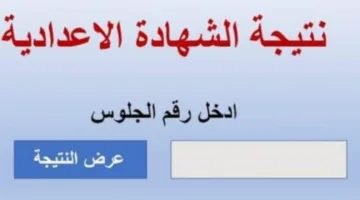 مفاجآت سارة.. نتيجة الشهادة الاعدادية محافظة القاهرة تظهر قريباً عبر الإنترنت