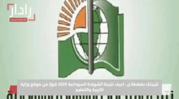 نتيجتك بضغطة زر.. اعرف نتيجة الشهادة السودانية 2025 فورًا من موقع وزارة التربية والتعليم