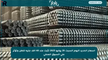 أسعار الحديد اليوم السبت 26 يوليو 2025 تثبت عند 40 ألف جنيه للطن وتؤثر على السوق المحلي