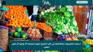 أسعار الخضروات والفاكهة في كفر الشيخ اليوم الجمعة 25 يوليو إثر تغير الطلب