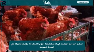 أسعار الدواجن البيضاء في الإسماعيلية اليوم الجمعة 25 يوليو وتأثيرها على السوق المحلية