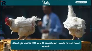أسعار الدواجن والبيض اليوم الجمعة 25 يوليو 2025 وتأثيرها على أسواق القليوبية