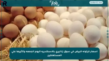 أسعار كرتونة البيض في سوق زنانيرى بالإسكندرية اليوم الجمعة وتأثيرها على المستهلكين