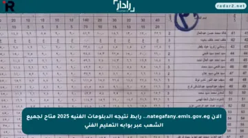 الآن nategafany.emis.gov.eg.. رابط نتيجة الدبلومات الفنية 2025 متاح لجميع الشعب عبر بوابة التعليم الفني