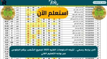 الان برابط رسمي.. نتيجة الدبلومات الفنية 2025 لجميع الشعب برقم الجلوس عبر بوابة التعليم الفني