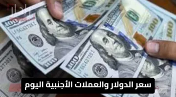 استقرار ملحوظ.. سعر الدولار اليوم هل يستمر هذا الهدوء في مصر؟