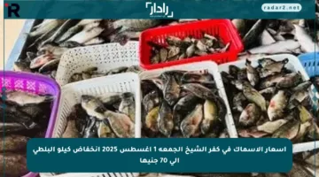 أسعار الأسماك في كفر الشيخ الجمعة 1 أغسطس 2025 انخفاض كيلو البلطي إلى 70 جنيها