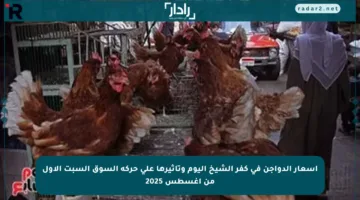 أسعار الدواجن في كفر الشيخ اليوم وتأثيرها على حركة السوق السبت الأول من أغسطس 2025