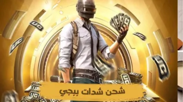 اشحن الآن 12000 شدة + 4560 مجانية في ببجي بسرعة مع سكن M4 المومياء الجديد!