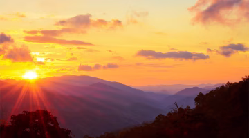 الذكاء الاصطناعي في خدمتكم.. تعرف على أحدث تطبيقاته في ابن الديرة