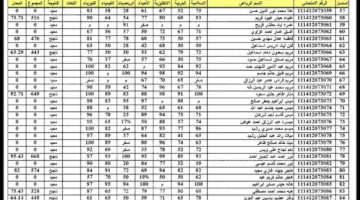 رابط مفعل الآن.. نتائج السادس الإعدادي 2025 الدور الأول لجميع المحافظات بصيغة PDF عبر موقعنا الرسمي