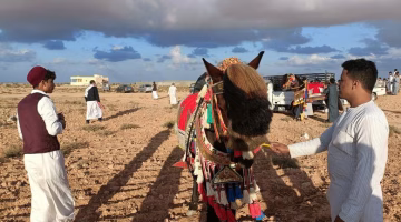 رحلات وزارة الشباب والرياضة لمصايف الإسكندرية ومطروح.. أسعار مناسبة تبدأ من 800 جنيه