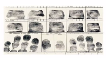 كيفية استخراج فيش جنائي أون لاين بشروط واضحة وخطوات سهلة مع تحديد موعد الاستلام
