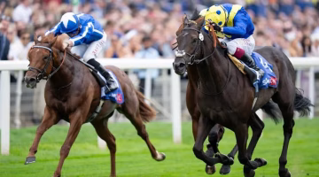 نيفر سو بريف يمنح الإمارات لقب “سيتي أوف يورك ستيكس” البريطاني