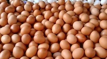 التموين تؤكد استقرار أسعار البيض والبقوليات في أسواق سوهاج