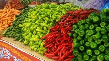 أسعار الخضروات في الإسكندرية الثلاثاء: الملوخية بـ8 جنيهات فقط