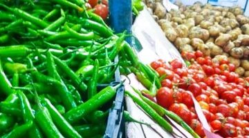 أسعار الطماطم والخضار في المنوفية يوم الخميس 30-10-2025