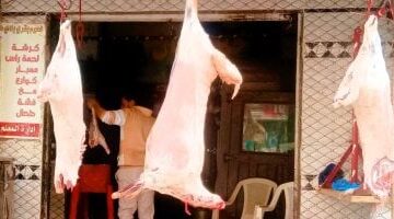 أسعار اللحوم في كفر الشيخ اليوم الجمعة 31 أكتوبر 2025 تتغير بشكل ملحوظ