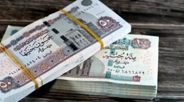 حافز 1000 جنيه.. وزارة التعليم تحدد الفئات المستحقة لصرف مكافأة التدريس الجديدة