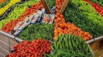 أسعار الفاكهة تثبت واستقرار طفيف في أسعار الخضروات بأسواق سوهاج
