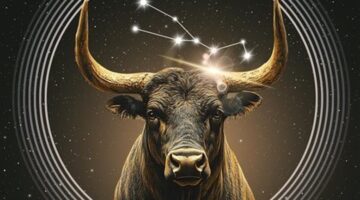 تغيير مهني.. مفاجآت غير متوقعة تواجه مواليد برج الثور اليوم الجمعة 7 نوفمبر مع ضرورة الحذر من التأجيلات المتكررة