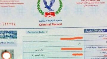 فحص إلكتروني.. كيف توفر وقتك في استخراج الفيش الجنائي لعام 2025 والشروط الجديدة للأوراق المطلوبة