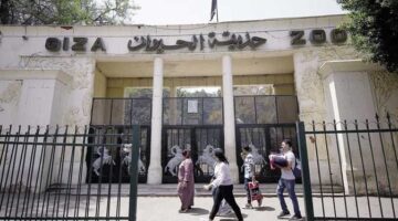 افتتاح جديد.. تعرف على موعد إعادة فتح حديقة حيوان الجيزة مع تفاصيل أسعار التذاكر بعد التجديد الكامل